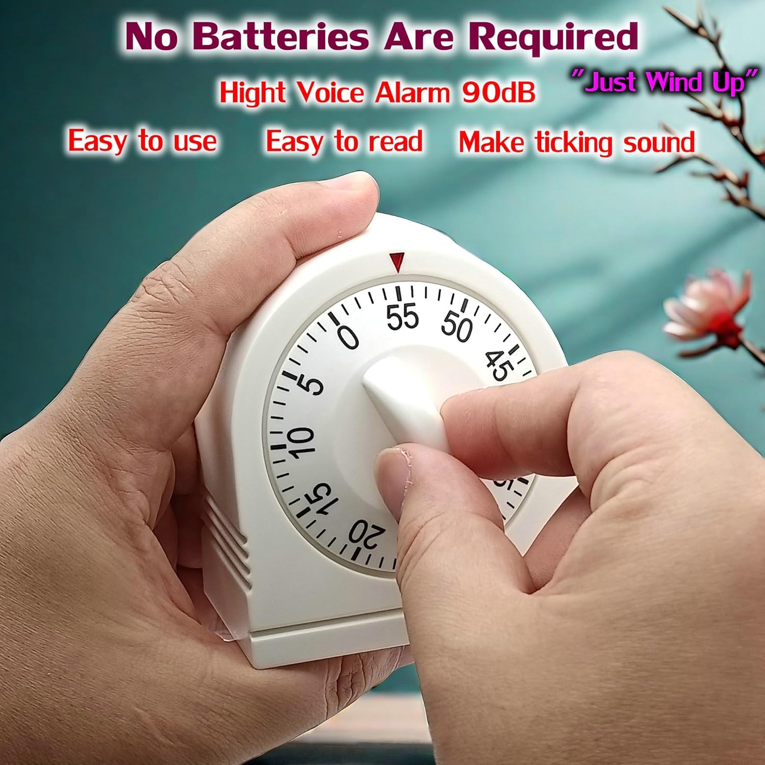60 Minute Mechanical Timer, Lo - Digital Timer Countdown recensione e prezzo